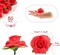 50 Pcs Small Red Artificial Rose Buds – 1.6" Silk Fake Flower Heads for DIY Crafts, Wedding Centerpieces, Bridal Shower, Party & Home Decoration